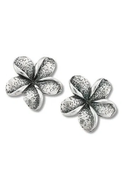Samuel B. Sterling Silver Flower Stud Earrings In Metallic