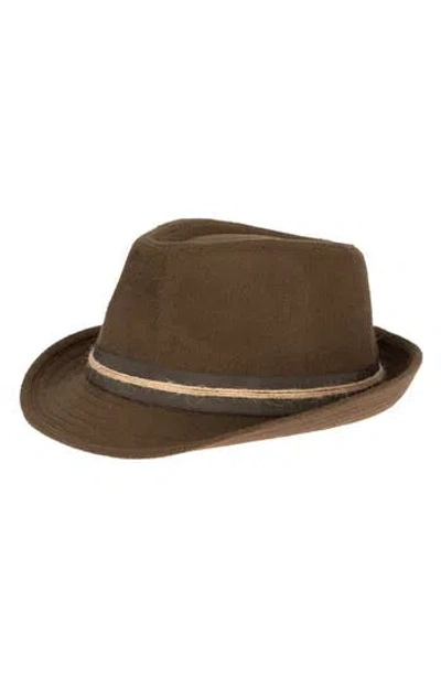 San Diego Hat Stingy Curved Brim Fedora In Brown