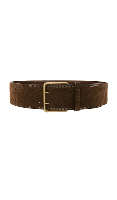Sancia The Bruno Belt In Portobello Croc