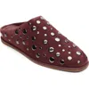 Sanctuary Bari Stud Mule In Brown