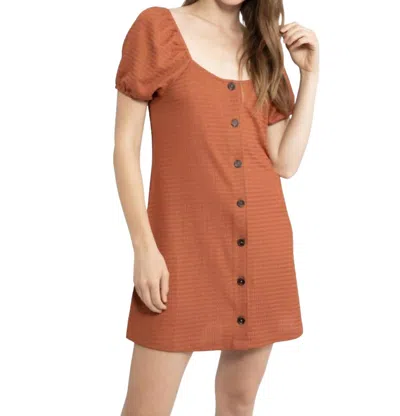 Sanctuary Button Up Knit Dress In Earth In Brown