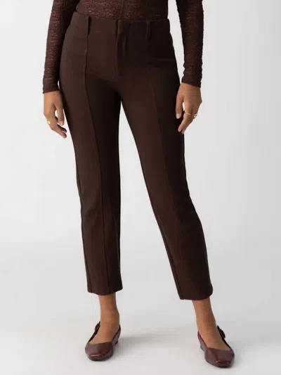 Sanctuary Cassie Leggings In Coffee In Brown