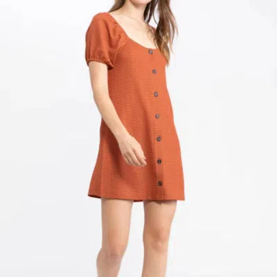 Sanctuary Clothing Button Up Knit Dress In Brown
