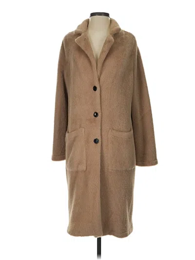 Pre-owned Sanctuary Coat In Brown