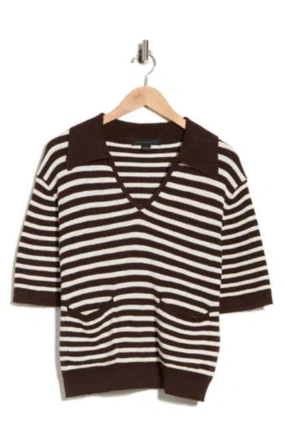 Sanctuary Collared Cotton Sweater In Brown