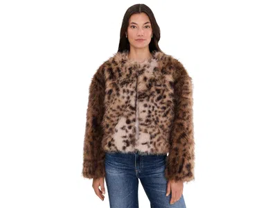 Sanctuary Collarless Everest Fur Jacket Women's Coat Cheetah: Xs (us 2), Faux Fur/polyester In Brown