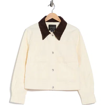Sanctuary Corduroy Collar Crop Utility Jacket In Moonstone White