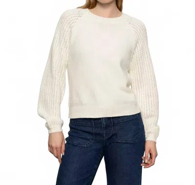 Sanctuary Cozy Moment Pointelle Sleeve Detail Sweater In Multi