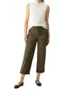 Sanctuary Cruiser Chino Pants In Dark Spruce In Multi