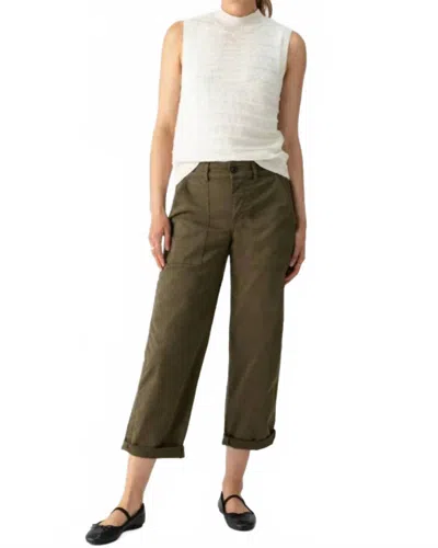Sanctuary Cruiser Chino Pants In Dark Spruce In Multi
