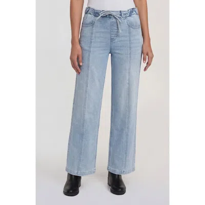 Sanctuary Denim Ekara Drawstring Waist Slim Wide Leg Jeans In Blue