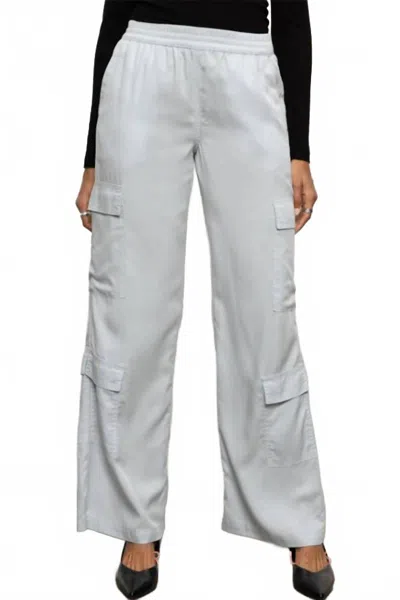 Sanctuary Down To Earth Soft Cargo Pants In Pearl Blue In Silver