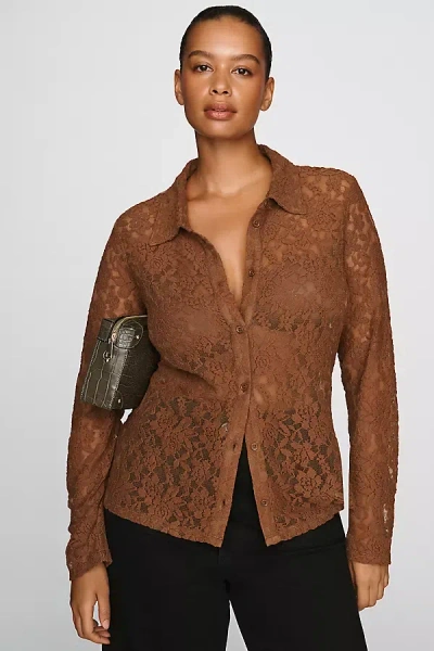 Sanctuary Dreamer Sheer Lace Top In Brown