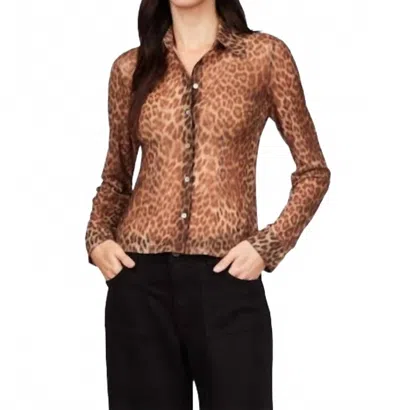 Sanctuary Dreamer's Top In French Kitty In Brown