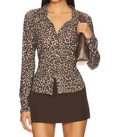 Sanctuary Dreamers Top In French Kitty In Brown