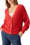 Sanctuary Falling For Fall Button Front Cardigan In Cherry Red In Red