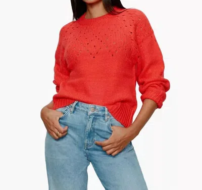 Sanctuary Femme Openwork Sweater In Tulip In Red