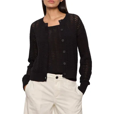 Sanctuary For Keeps Pointelle Cardigan In Black