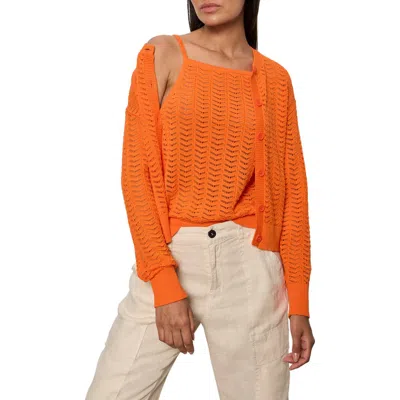 Sanctuary For Keeps Pointelle Cardigan In Orange