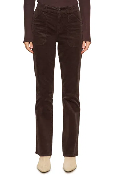 Sanctuary Hayden Corduroy Bootcut Pants In Semi Sweet In Brown