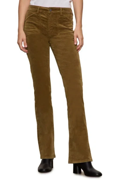 Sanctuary High Waist Bootcut Velveteen Pants In Brown