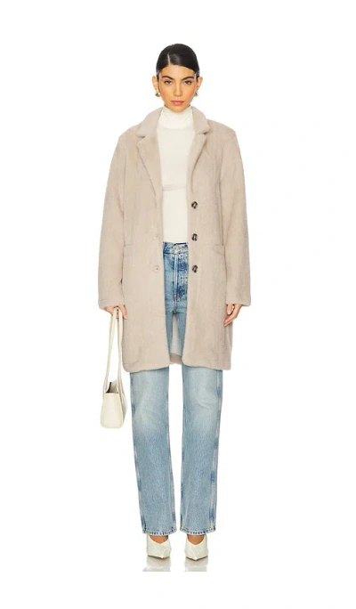 Sanctuary Hometown Jacket In Grey