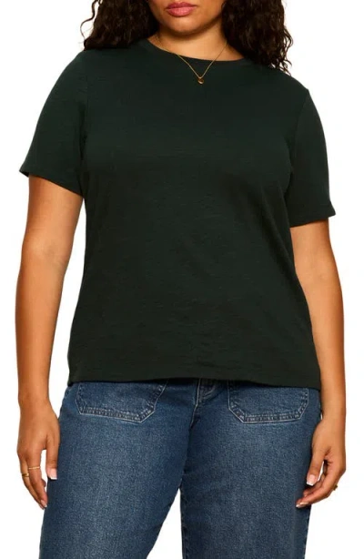 Sanctuary Icon Cotton T-shirt In Green
