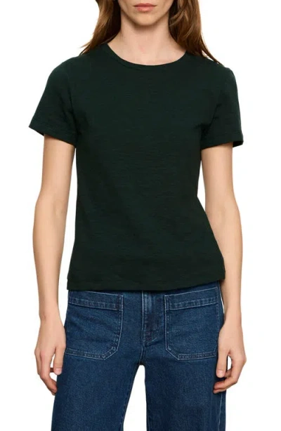 Sanctuary Icon T-shirt In Green