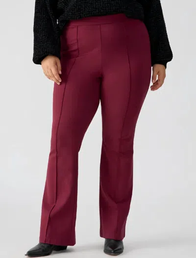 Sanctuary Lana Flare Pants In Sugar Plum In Purple