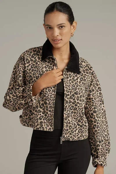 Sanctuary Cropped Barn Jacket In Animal Print