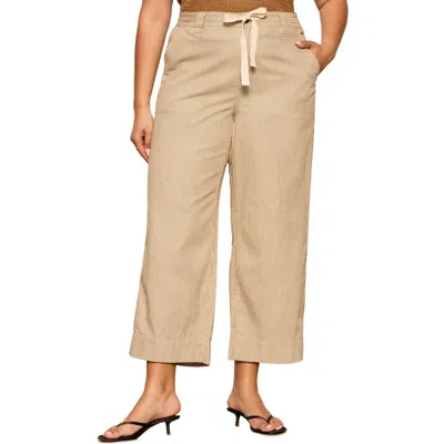 Sanctuary Lily Stripe Crop Pants In Brown