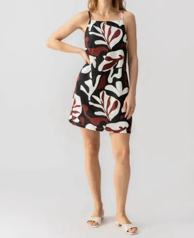 Sanctuary Mini Shift Dress In Mineral Mine
