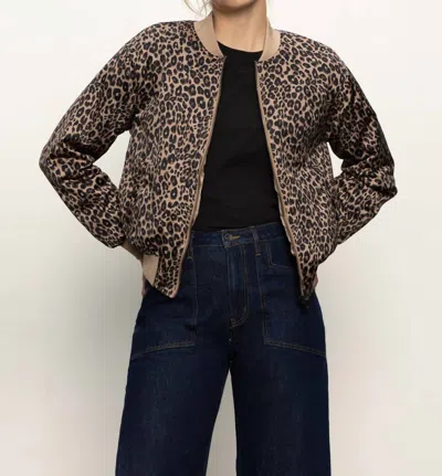 Sanctuary Monroe Sateen Bomber Jacket In French Kitty In Brown