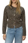 Sanctuary Must-have Cardigan In Brown