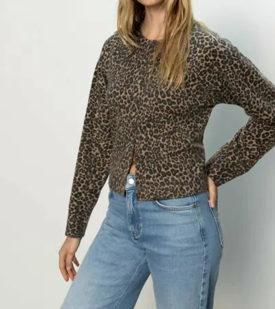 Sanctuary Must Have Cardigan In French Kitty Leopard In Multi