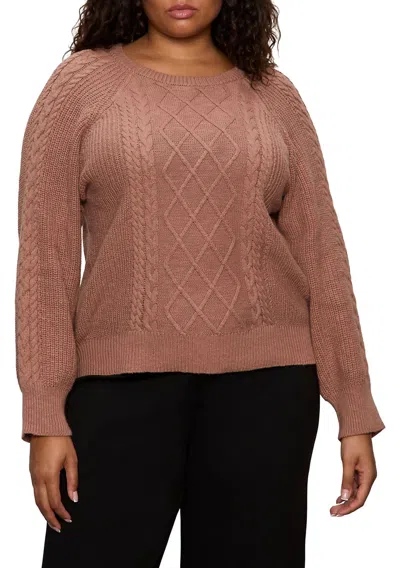 Sanctuary Nomad Cable Popover Sweater In Mocha In Brown