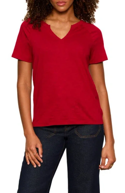 Sanctuary Notch V-neck Cotton Blend T-shirt In Multi