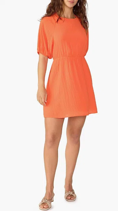 Sanctuary Open Back Play Dress In Blood Orange