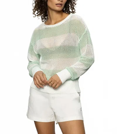 Sanctuary Open Knit Sweater In Mint Tea / Chalk In Multi