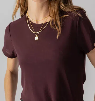Sanctuary Perfect Mesh Tee In Dark Cherry