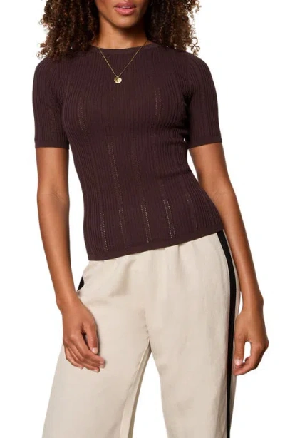Sanctuary Perfect Pointelle Rib T-shirt In Brown