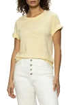 Sanctuary Perfect Roll Sleeve Cotton T-shirt In Chamomile