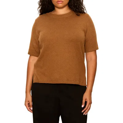Sanctuary Perfect Short Sleeve Sweater In Cocoa Powder Brown