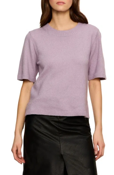 Sanctuary Perfect Sweater Tee In Purple