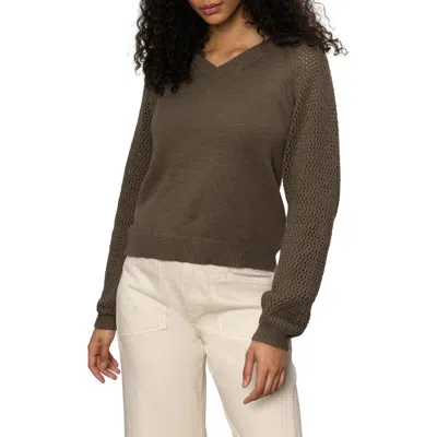 Sanctuary Perfect Time Cotton Sweater In Brown