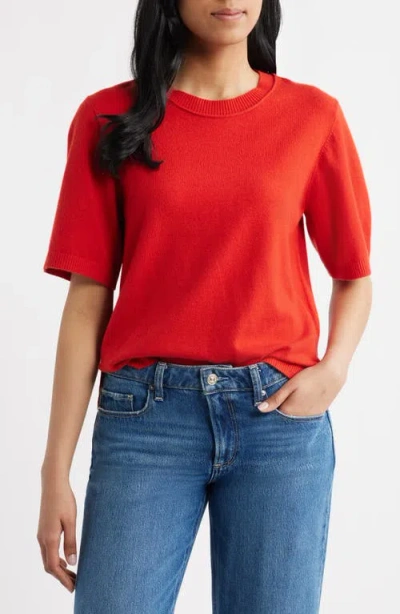 Sanctuary Perfect Tipped Short Sleeve Sweater In Red