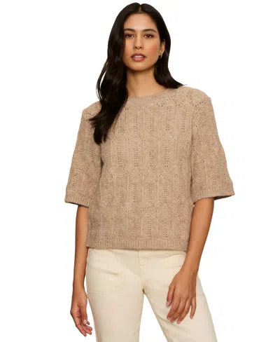 Sanctuary Petite Pointelle Short-sleeve Crewneck Sweater In Brown