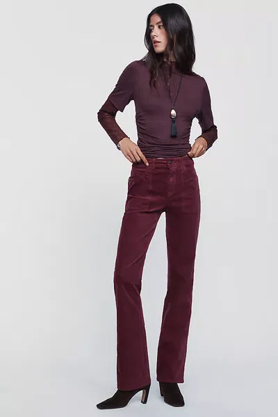 Sanctuary Play Date Velvet High Rise Bootcut Pants In Purple