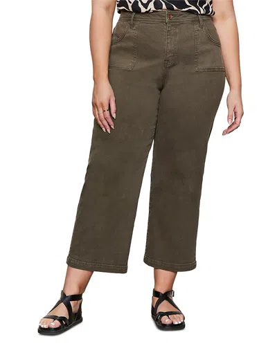 Sanctuary Plus League Cropped Pants In Brown