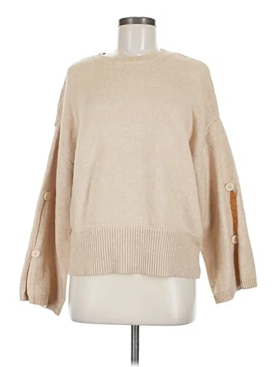 Pre-owned Sanctuary Pullover Sweater In Brown